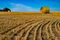 Golden hay bales sitting in the autumn sun Royalty Free Stock Photo