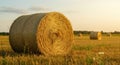 Golden Hay Bales in a Summer Field at Sunset Royalty Free Stock Photo