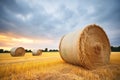 golden hay bales under a fading sky Royalty Free Stock Photo