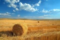 Golden Hay Bales on a Vast Wheat Field Under a Clear Blue Sky Royalty Free Stock Photo