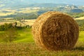 Golden hayfield in tuscany Royalty Free Stock Photo