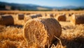 Golden haystacks dot the rural landscape, a harvest in motion generated by AI Royalty Free Stock Photo