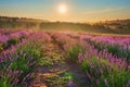The golden hazy dawn over the purple lavender field