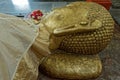 Golden Head of Reclining Buddha Statue on the side of  Parinirvana Temple in Kushinagar, Royalty Free Stock Photo