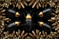 Golden headed black bugs forming a symmetrical pattern on a black background with golden plants Royalty Free Stock Photo