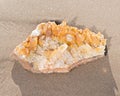 Golden Healer Cluster Quartz Specimen from Arkansas on wet sand on the beach