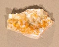 Golden Healer Cluster Quartz Specimen from Arkansas on wet sand on the beach