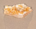 Golden Healer Cluster Quartz Specimen from Arkansas on wet sand on the beach