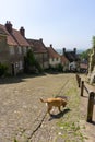 Golden Hill road, Dorset England, Europe Royalty Free Stock Photo