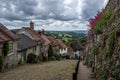 Golden Hill Shaftesbury Royalty Free Stock Photo