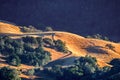 Golden hills bathed in a sunset light Royalty Free Stock Photo