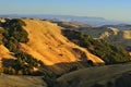 Golden Hills of California Royalty Free Stock Photo
