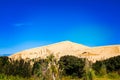 Golden hills of Giant sand dunes behind a green wall of the bush. Cloudless blue sky over Te Paki, Northland, Far North Royalty Free Stock Photo