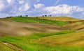 Golden hills of Orcia. Royalty Free Stock Photo