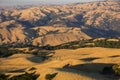 Golden hills in the sunset light; dry grass on the hills and valleys Royalty Free Stock Photo