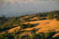 Golden hills in the sunset light; Sunnyvale, San Francisco bay area in the background, California Royalty Free Stock Photo