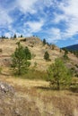 Golden hillside and trees, Kalamalka Lake Provincial Park, Vernon, Canada Royalty Free Stock Photo