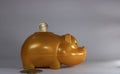 golden hippo bank and coins