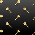 Golden home keys on black, isolated, vector illustration