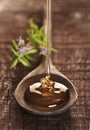 Golden honey Royalty Free Stock Photo