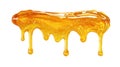golden honey dripping isolated on white background Royalty Free Stock Photo