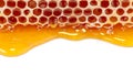 Honey and honey comb with wooden stick