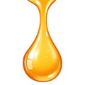 Golden Honey Drop Dripping with Sweet and Viscous Texture on White Background Royalty Free Stock Photo
