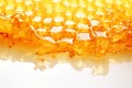 Golden honey and honeycomb isolated on white, perfect for enhancing culinary creations.