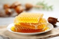 Golden honey and intricately textured honeycomb isolated on white for culinary and health projects