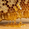 Golden honey oozes from a honeycomb featuring hexagonal cells. Each cell is Royalty Free Stock Photo