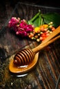 Golden honey on plate and flowers Royalty Free Stock Photo