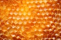 Golden Honeycomb Closeup: Concept for Solitary Nature Photography, Rich Healthy Foods, and Complex Geometric Repetitions.
