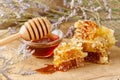 Golden honeycombs with fresh natural honey and glass bowl with dipper. Fresh harvesting dark forest honey in combs. Healthy