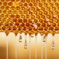 Hexagonal pattern, are filled with amber-colored honey, which drips Royalty Free Stock Photo