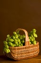 Golden hops in gab Royalty Free Stock Photo