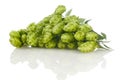 Golden hops on white Royalty Free Stock Photo