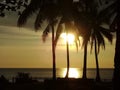 Golden Horizon Above Shining Ocean Royalty Free Stock Photo