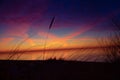 Golden Horizon: Baltic Sea Beach Basking in Sunset\'s Glow.