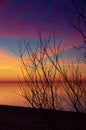 Golden Horizon: Baltic Sea Beach Basking in Sunset\'s Glow.