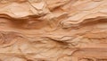 Golden Horizon: Desert Sandstone Tapestry. AI generate