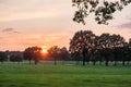 Golden Horizon: Vibrant Sunset Over Rural Treetops Royalty Free Stock Photo