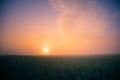 Golden Horizons: Majestic Summer Sunrise over Countryside Wheat Field