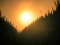 Golden Horizons: Majestic Summer Sunrise over Countryside Wheat Field