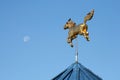 Golden Horse and Moon Royalty Free Stock Photo