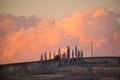 Fire and orange sunset on big clouds in the background of slim trees Royalty Free Stock Photo