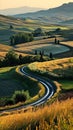 The golden hour casts a soft glow over a serpentine road embraced by the lush fields and hills of the countryside Royalty Free Stock Photo