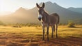 Golden Hour Donkey in Grassy Field with Mountain Backdrop