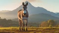 Golden Hour Donkey in Grassy Field with Mountain Backdrop