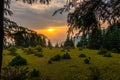 Golden hour in the Himalayas: Sun settles, casting orange sky. Layered Mountain ridge, Pine tree silhouettes, Uttarakhand\'s Royalty Free Stock Photo