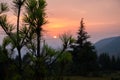 Golden hour in the Himalayas: Sun settles, casting orange sky. Pine tree silhouettes, Uttarakhand\'s scenic beauty. India Royalty Free Stock Photo